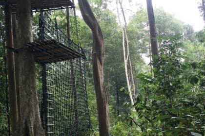 skytrex adventure melaka